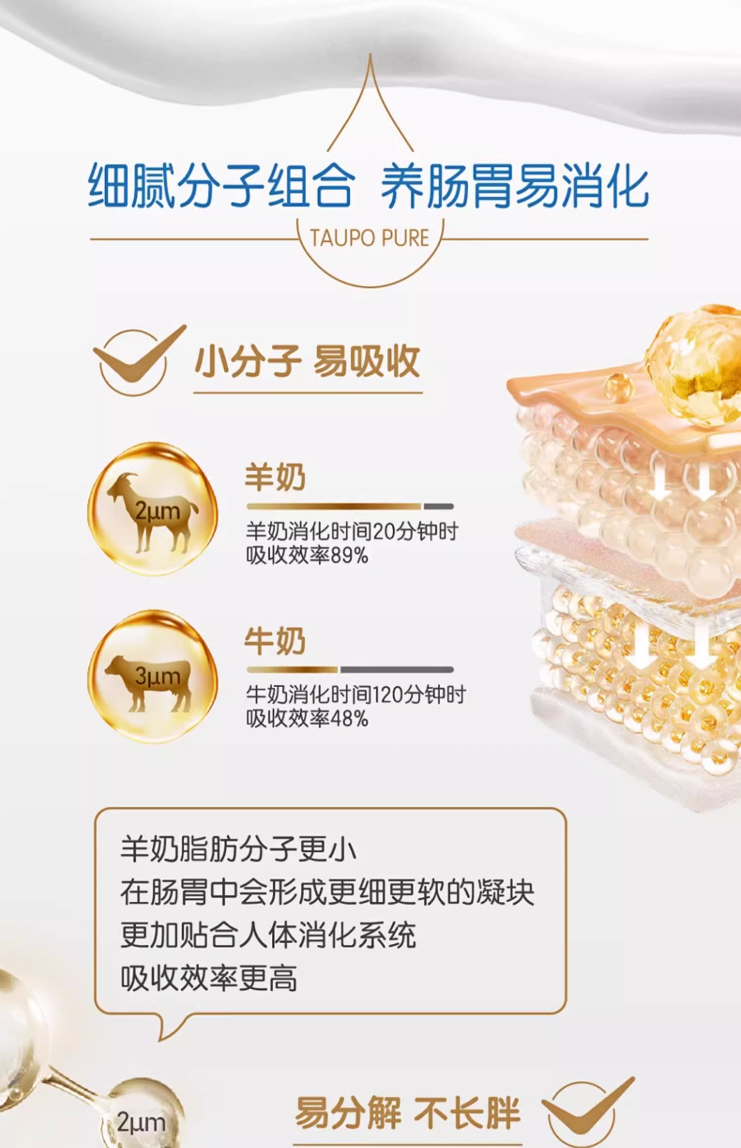 Taupo Goat详情-1 (16).jpg